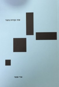 שתי נקודות ציפור / אורי שכטר